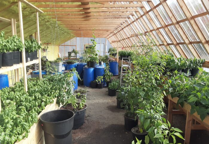 Passive Solar Greenhouse Tour