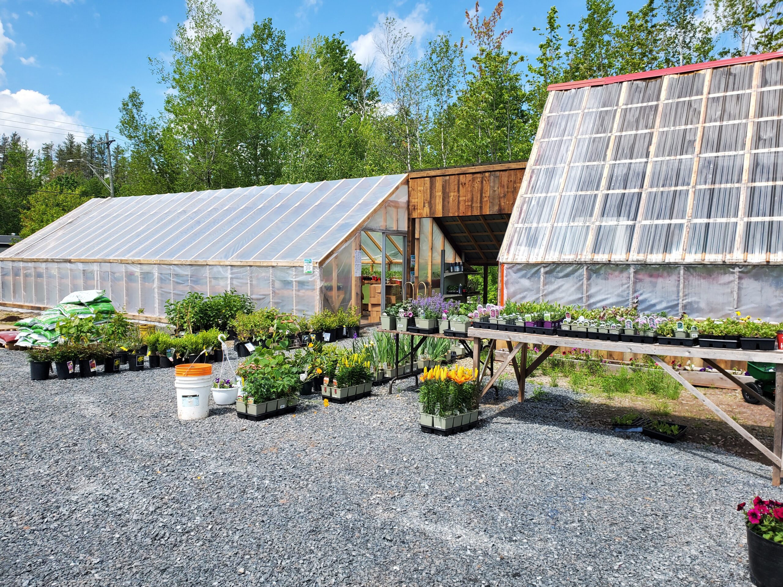 What is a Passive Solar Greenhouse?