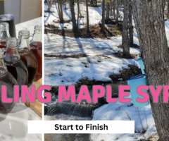 Boiling Maple Syrup