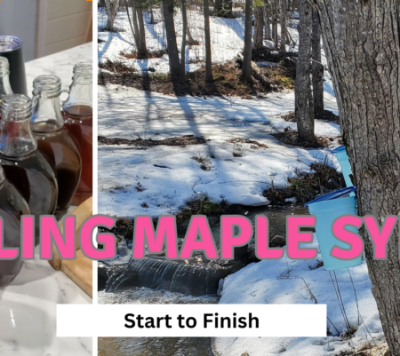 Boiling Maple Syrup