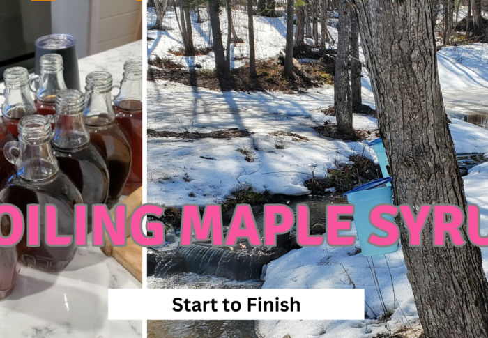 Boiling Maple Syrup